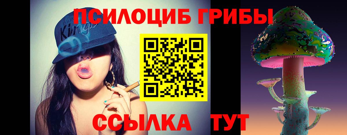 Псилоцибиновые грибы Magic Shrooms  Псилоцибиновые грибы Psilocybine cubensis  цена наркотик  Артёмовский  Вход с VPN 